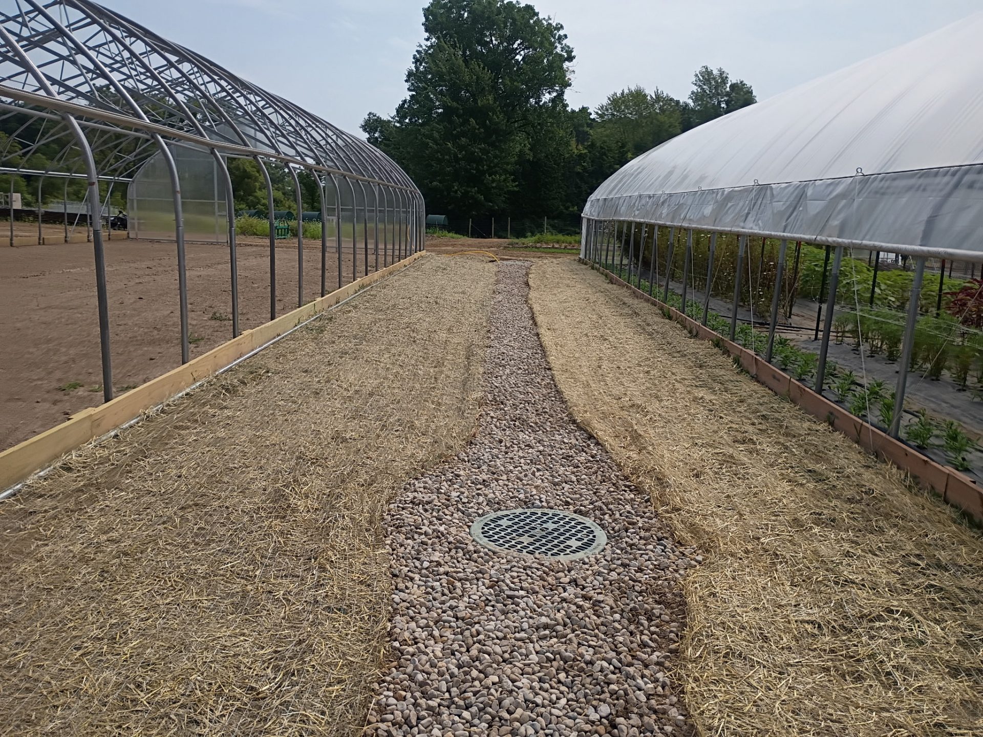 Drainage process of the yard