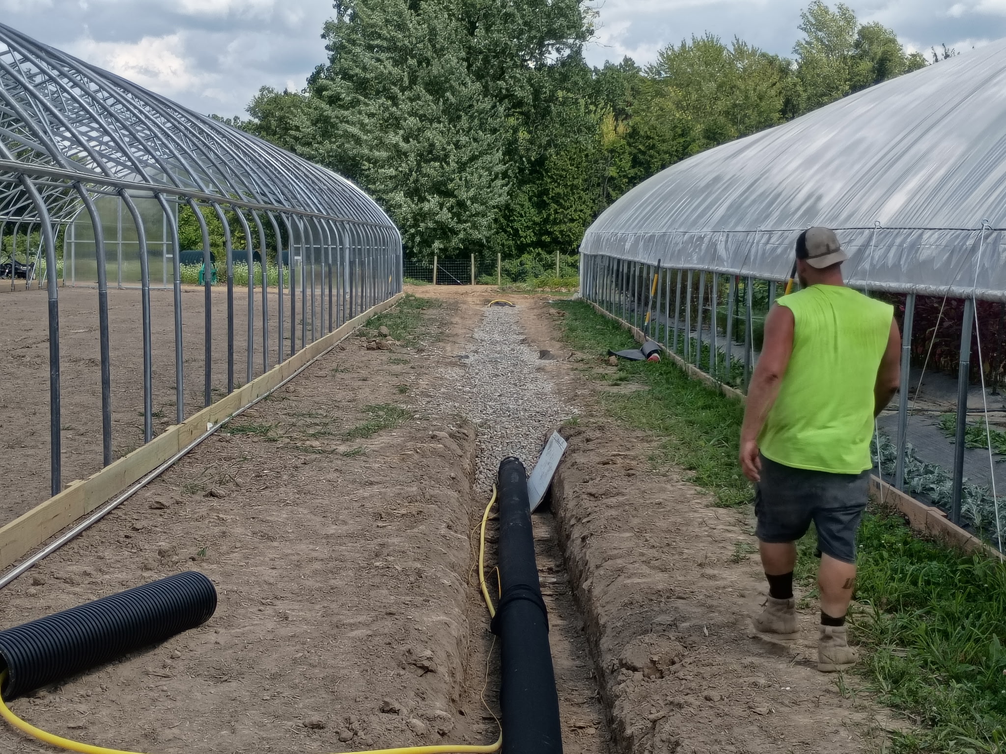 Worker installing underground pipes near greenhouses.