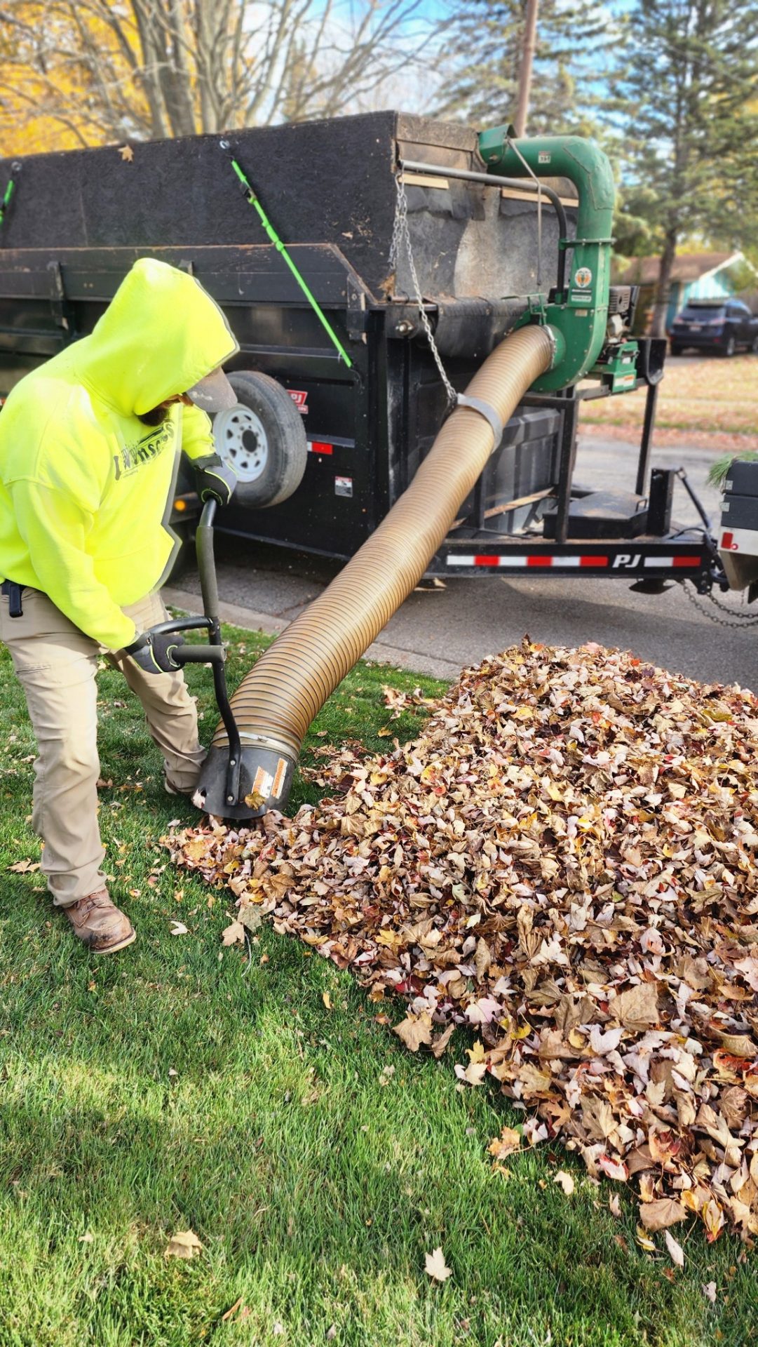 Worker using vacuum to collect autumn leaves.