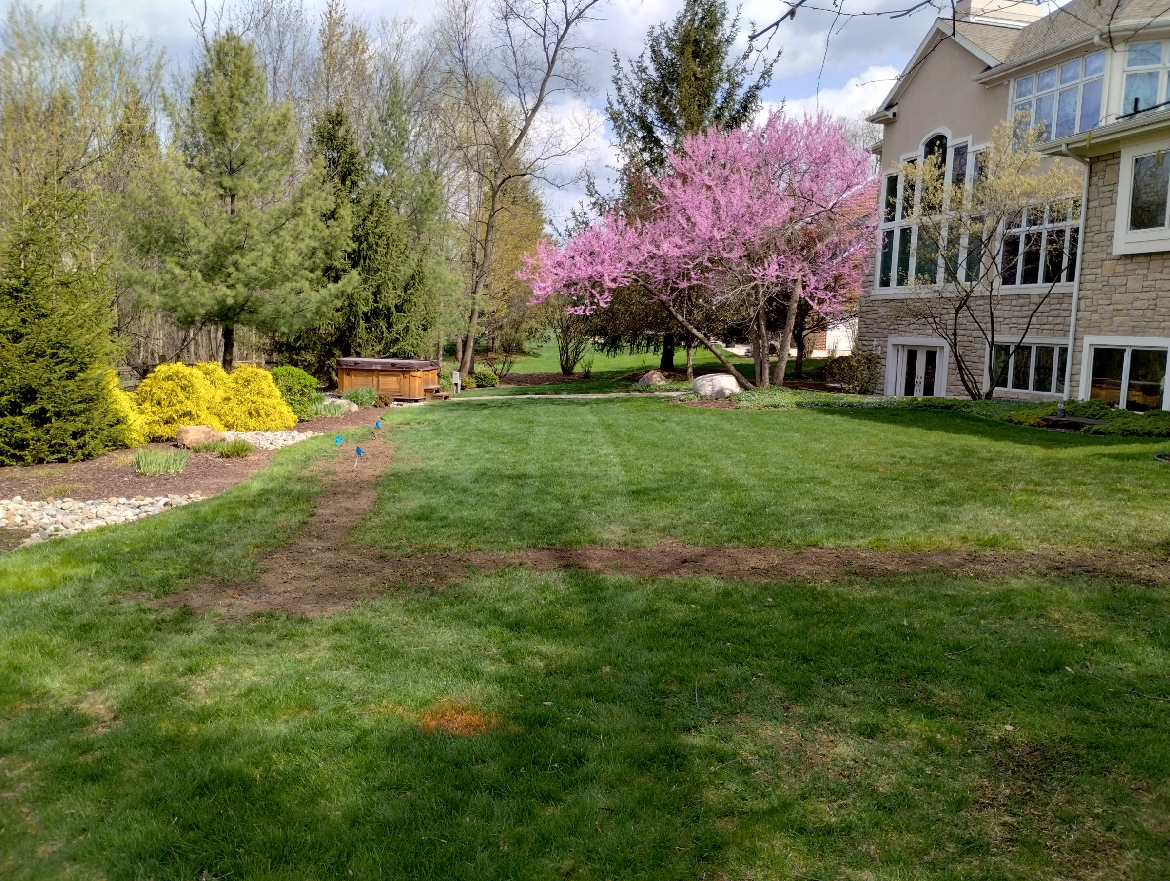 Lush backyard with gazebo and blooming pink tree.