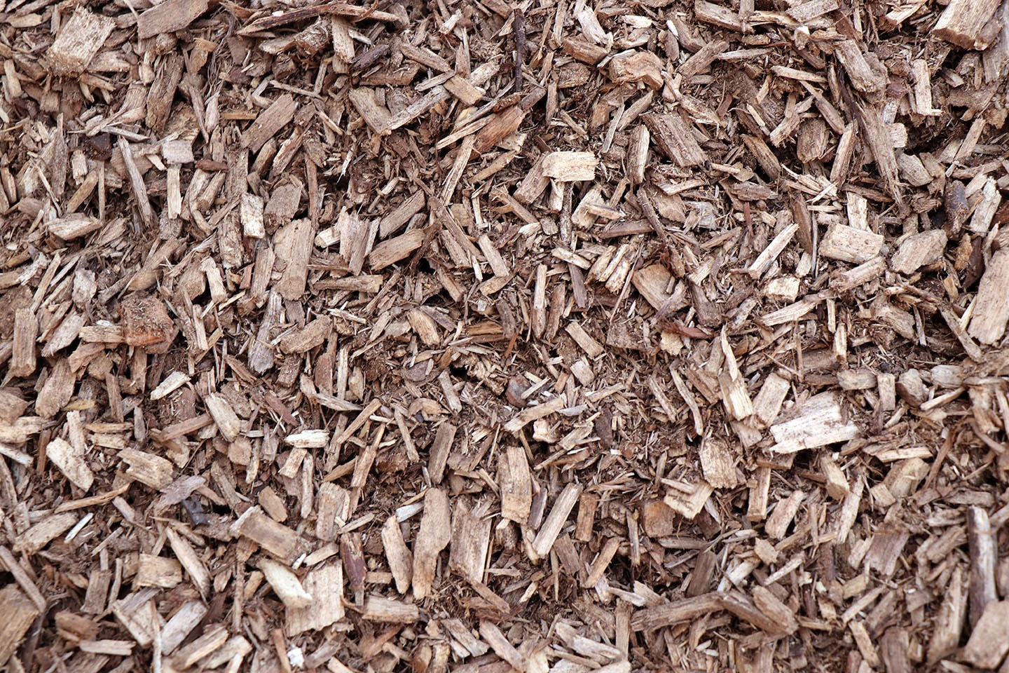 Pile of natural wooden mulch chips