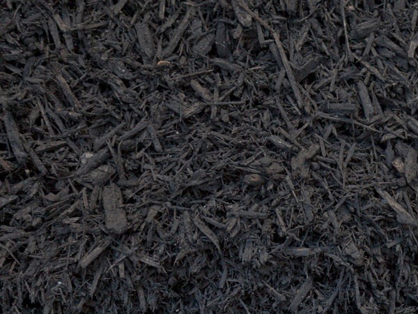 Close-up of black mulch texture