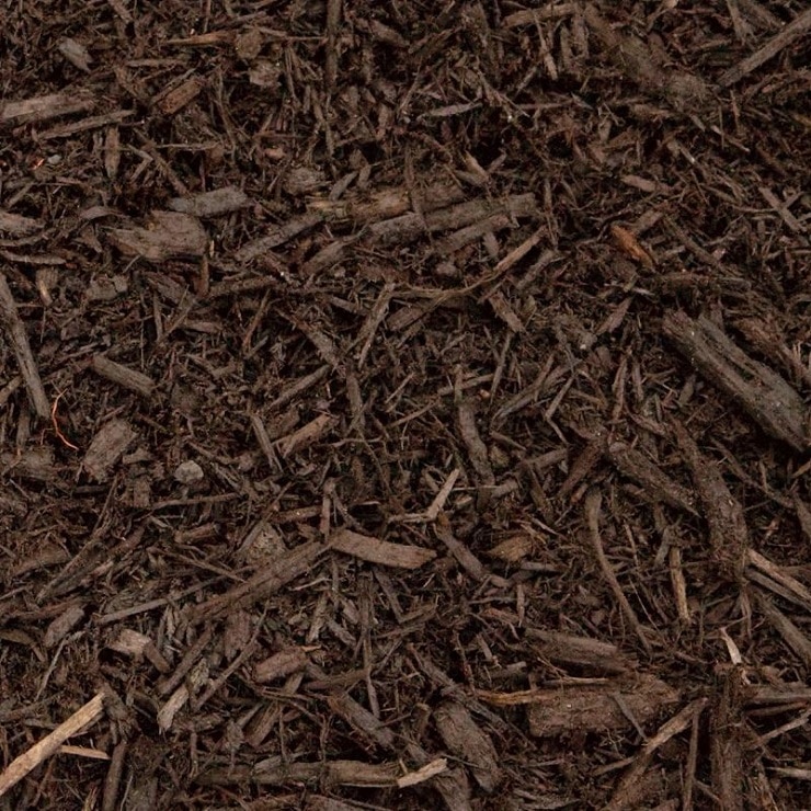 Close-up of dark brown mulch