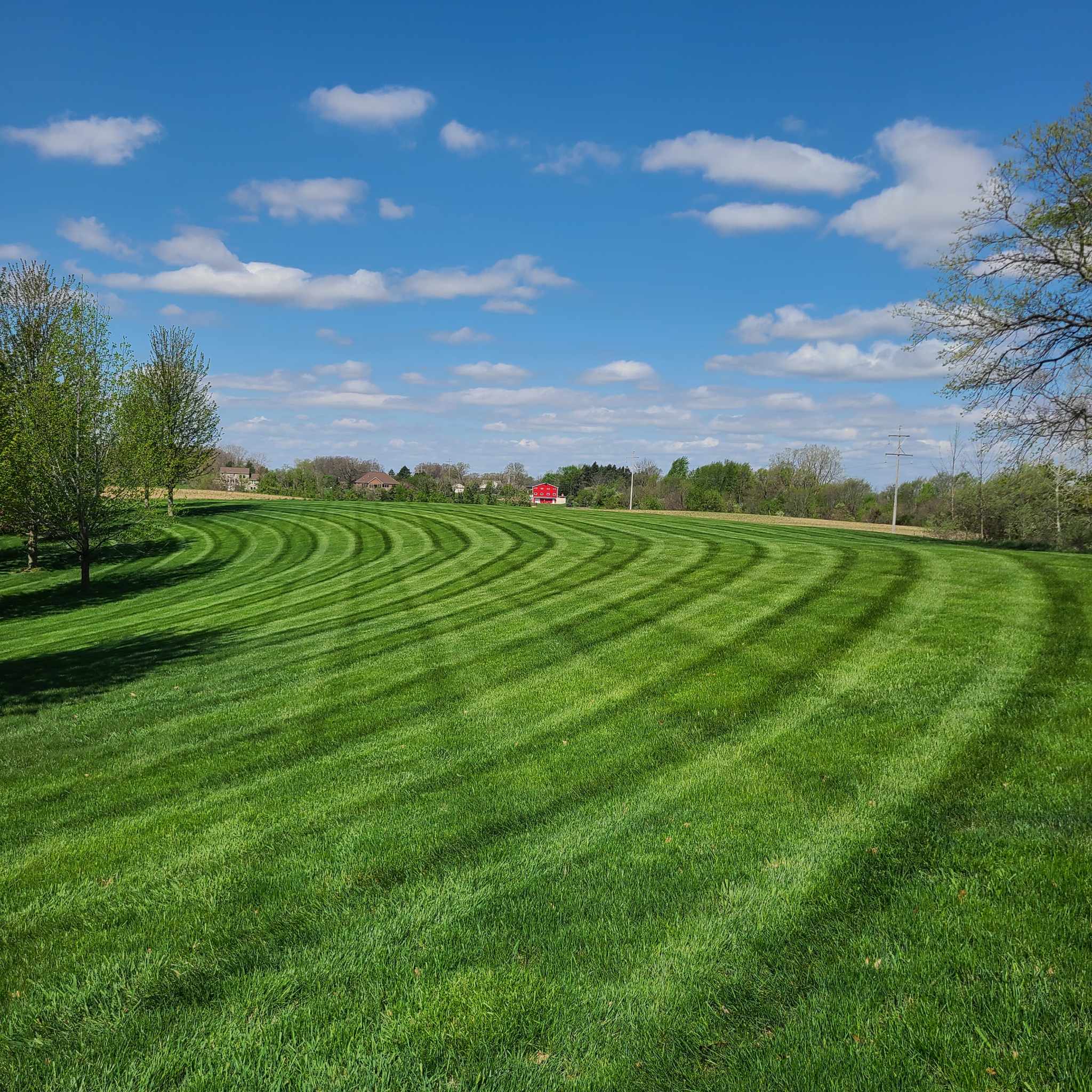 Green field with striped grass under blue sky.
