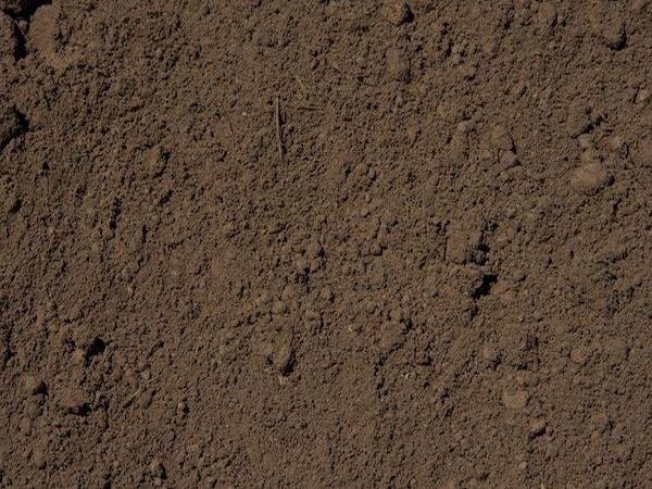 Close-up of brown soil texture for gardening