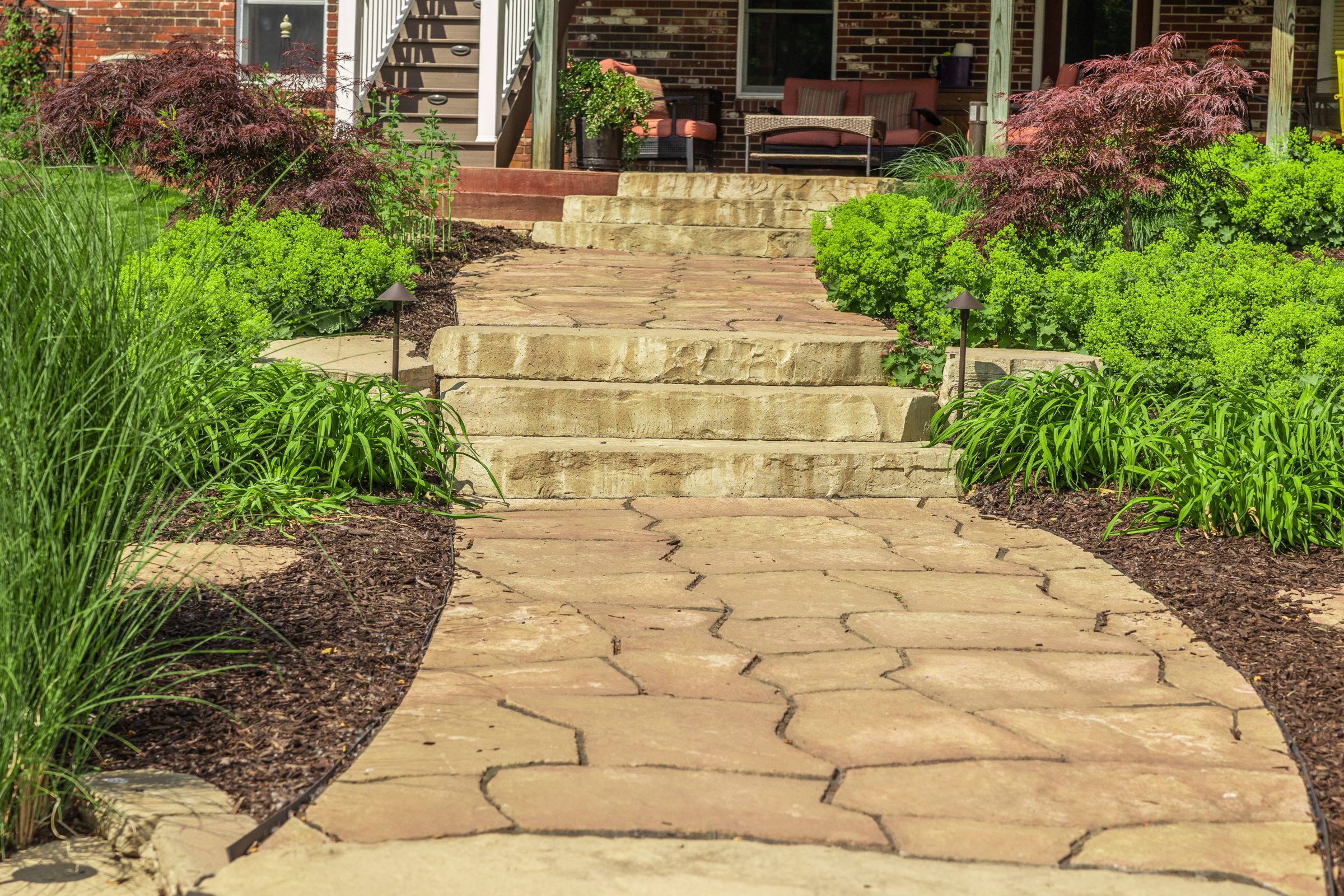 Stone pathway with garden plants and steps