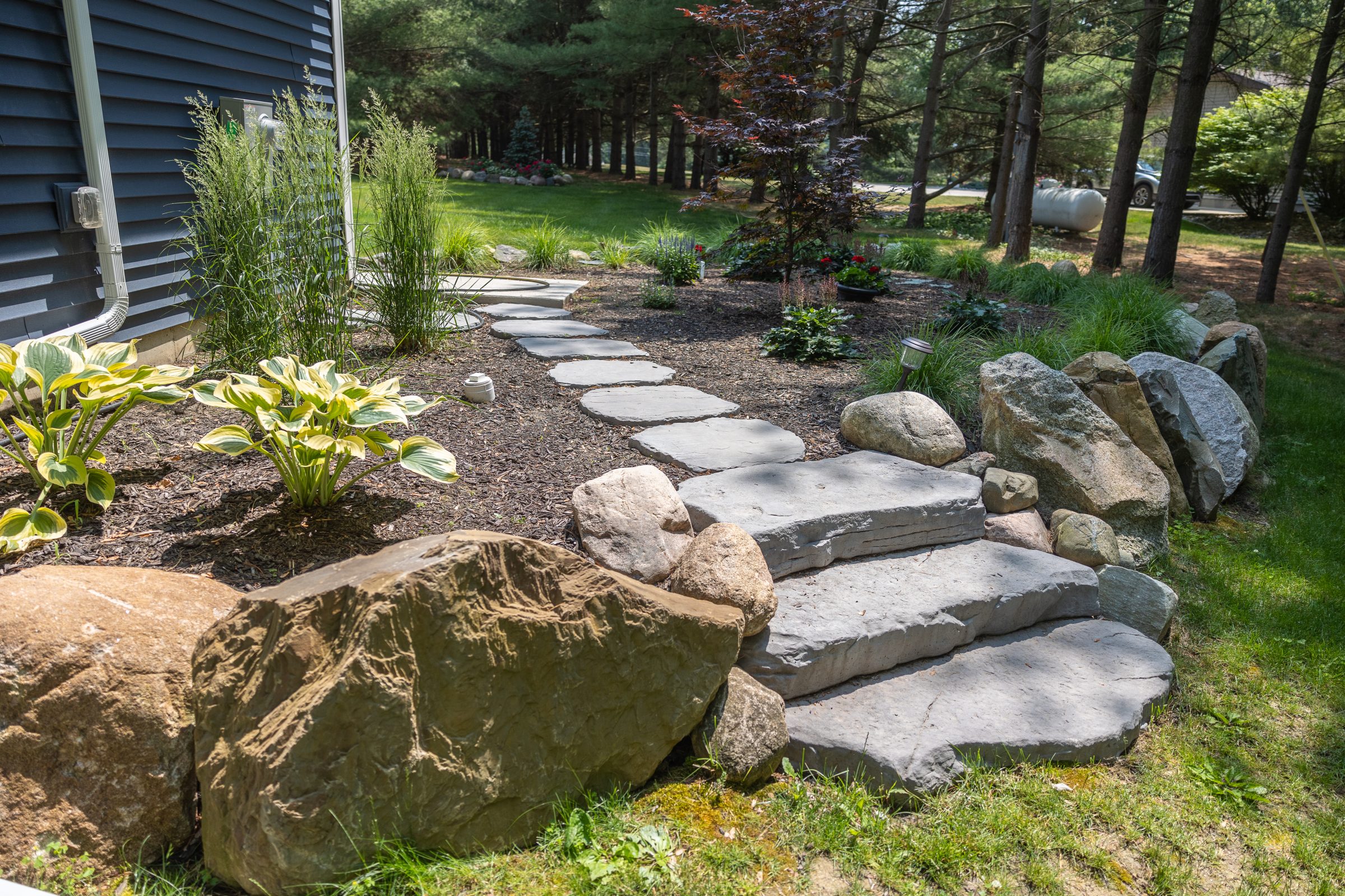 Stone path with plants in garden scene