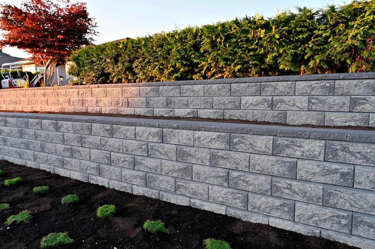 Stone retaining wall with plants and trees