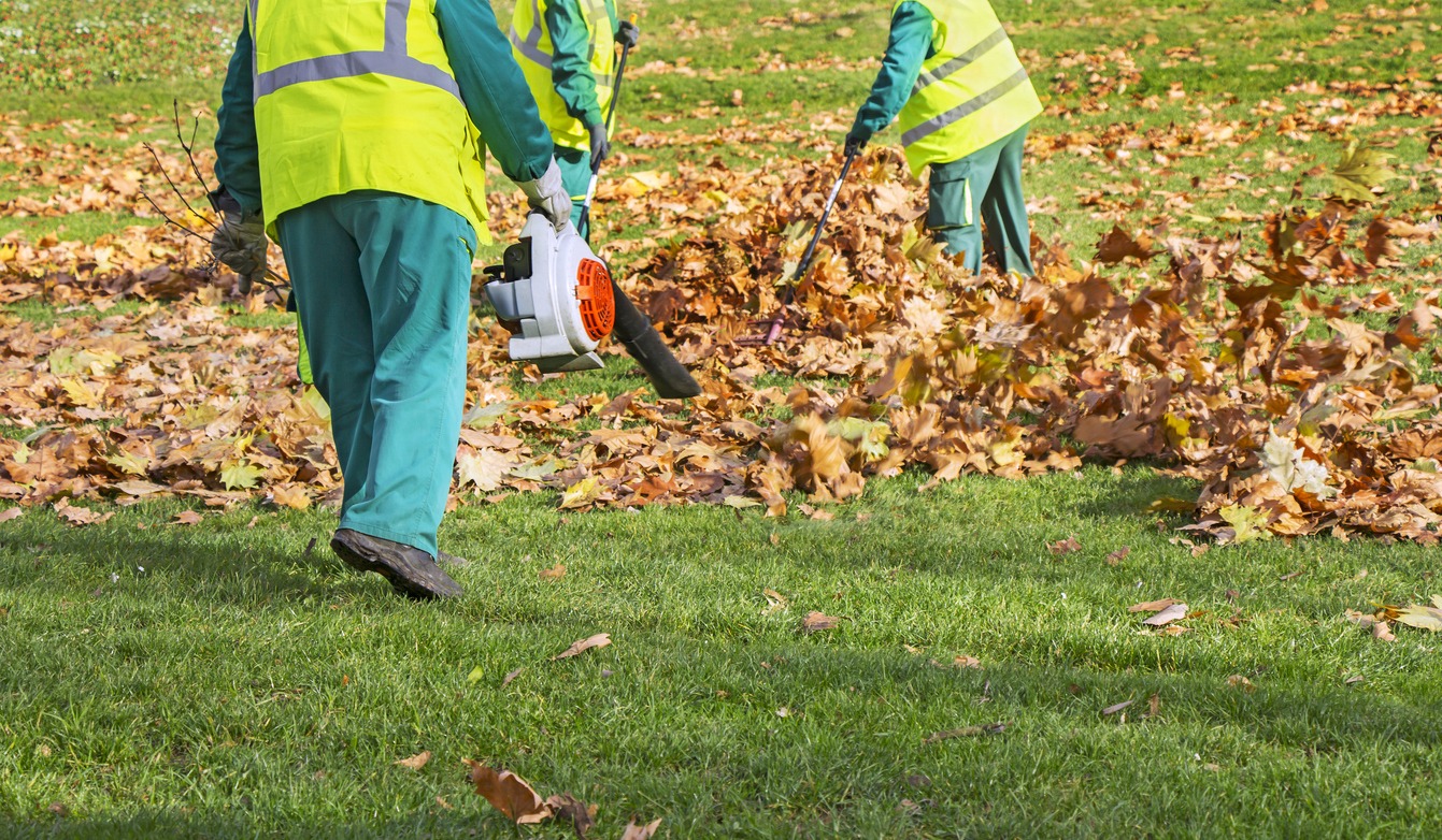 Workers cleaning leaves with leaf blower in park
