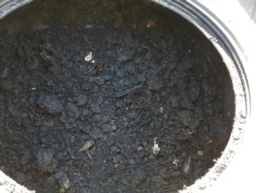 Close-up of dark compost soil in container